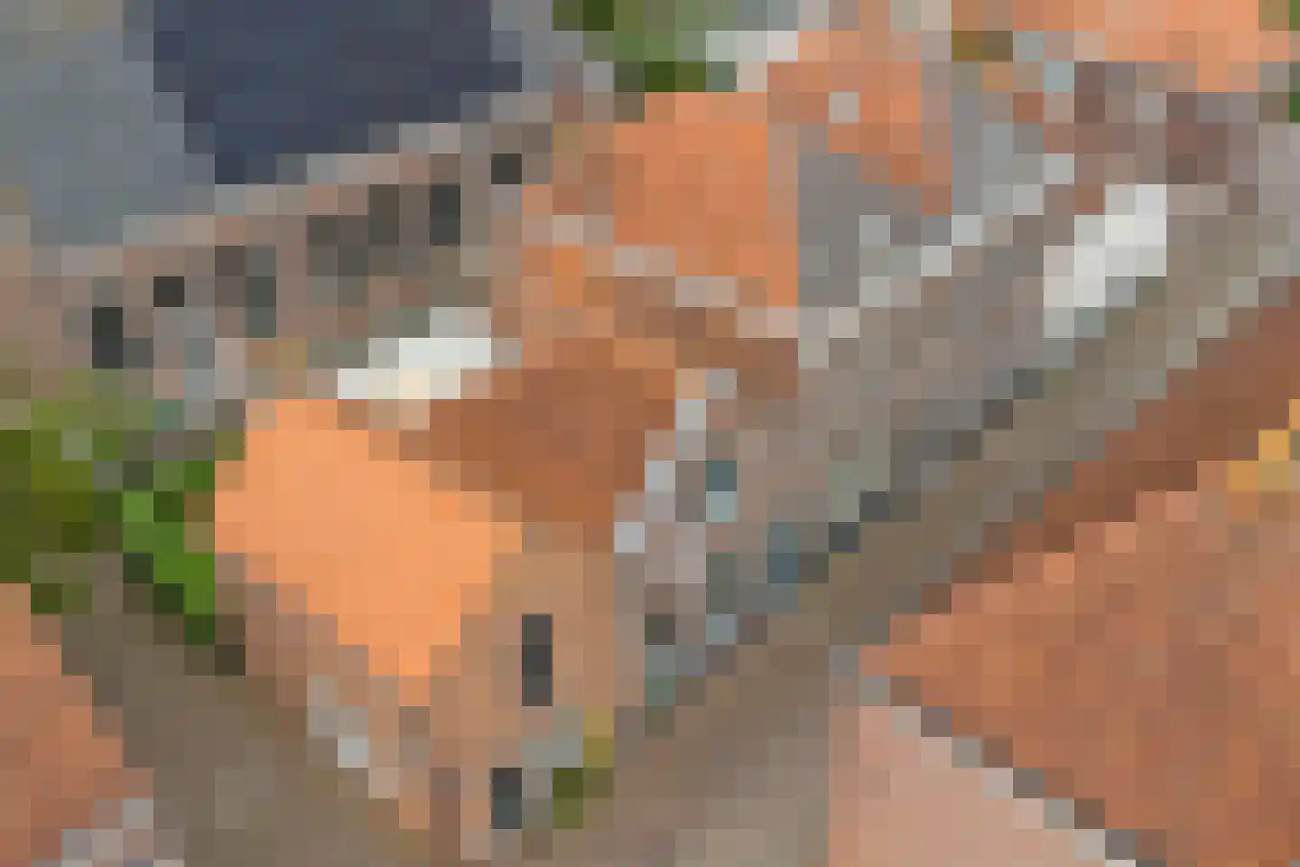 Oostkerkstraat 3 Middelburg thumbnail 36