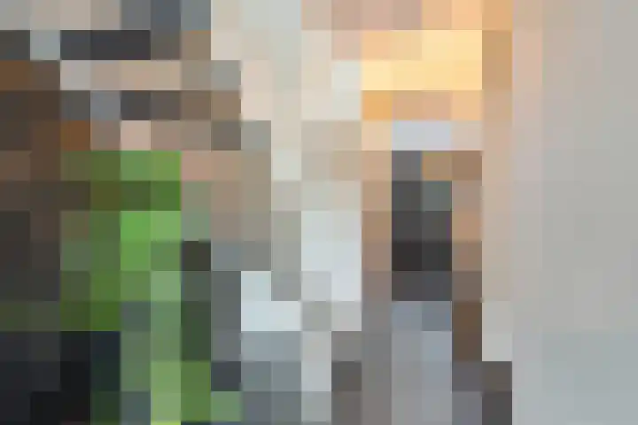 Oostkil 13 Papendrecht thumbnail 11
