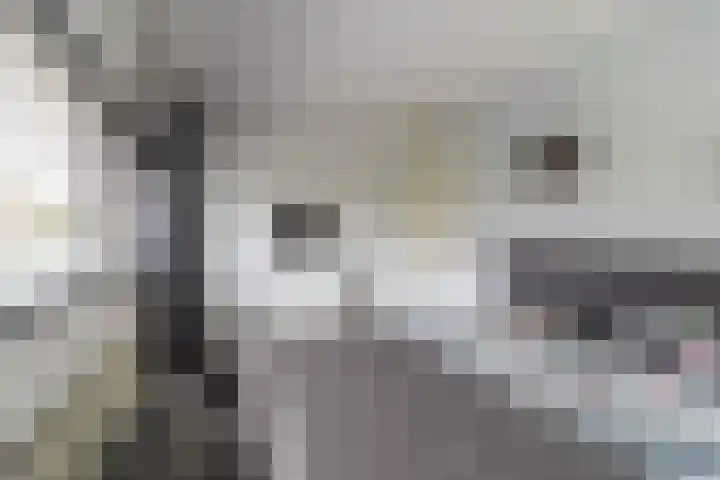 Oostkil 13 Papendrecht thumbnail 14