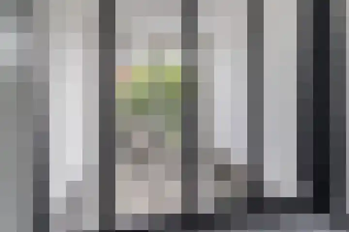 Oostkil 13 Papendrecht thumbnail 17