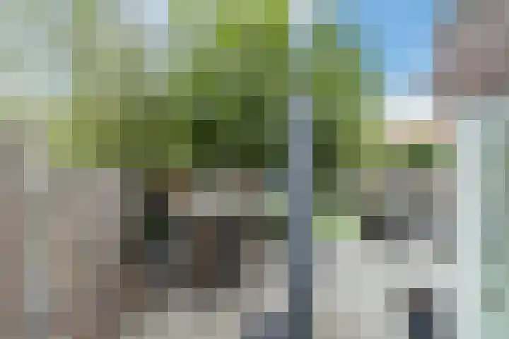Oostkil 13 Papendrecht thumbnail 32