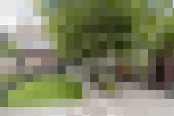 Oostkil 13 Papendrecht thumbnail 36