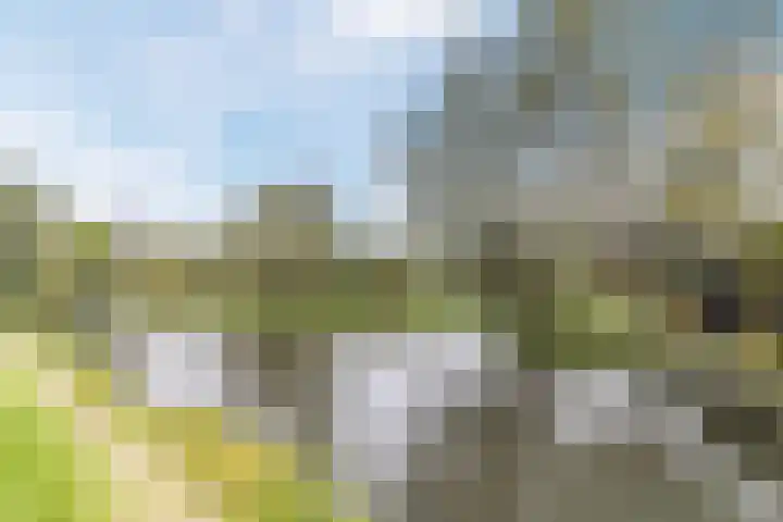 Oostkil 13 Papendrecht thumbnail 41