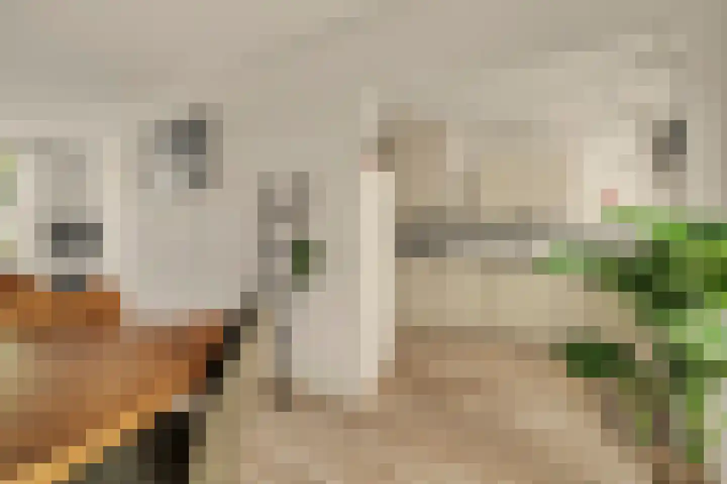 Oostkilstraat 20 Rilland thumbnail 12