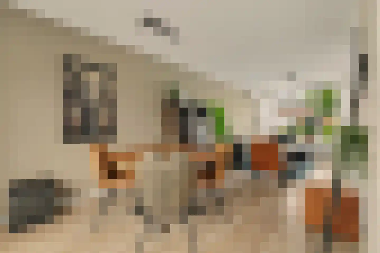 Oostkilstraat 20 Rilland thumbnail 13