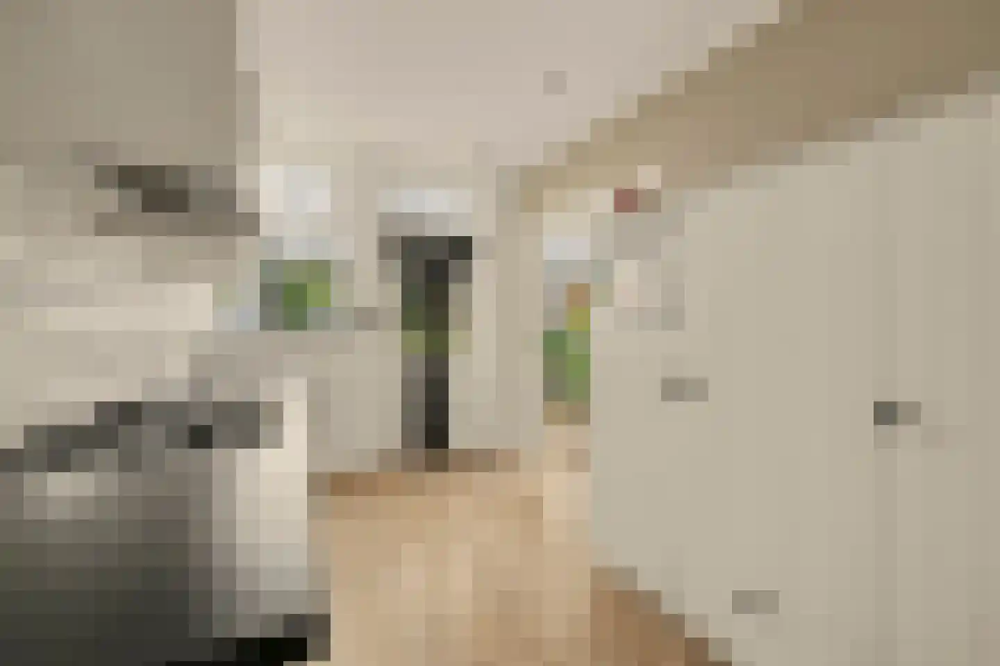 Oostkilstraat 20 Rilland thumbnail 16
