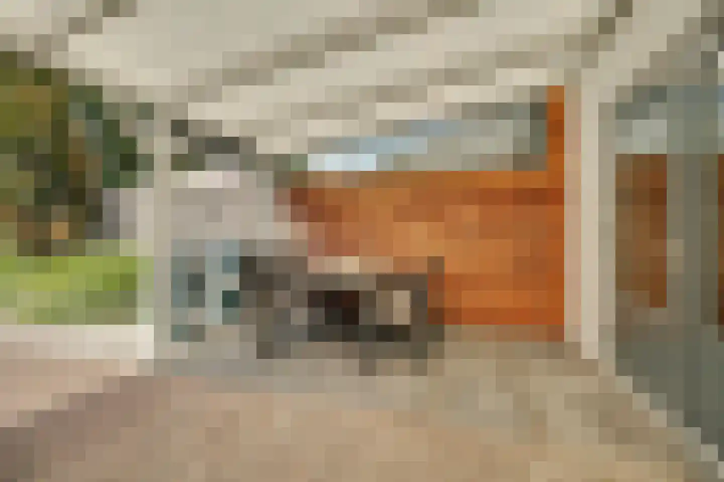 Oostkilstraat 20 Rilland thumbnail 34