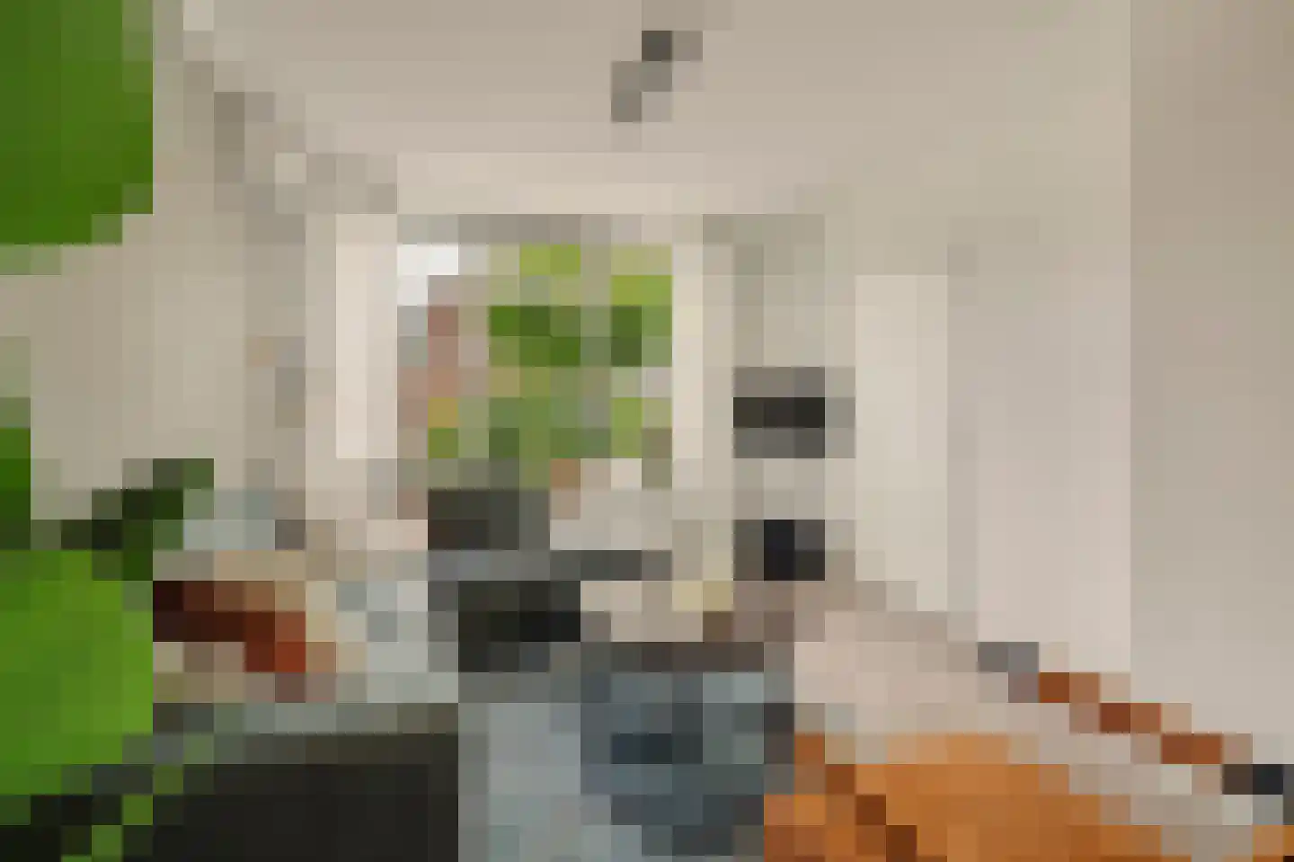 Oostkilstraat 20 Rilland thumbnail 8