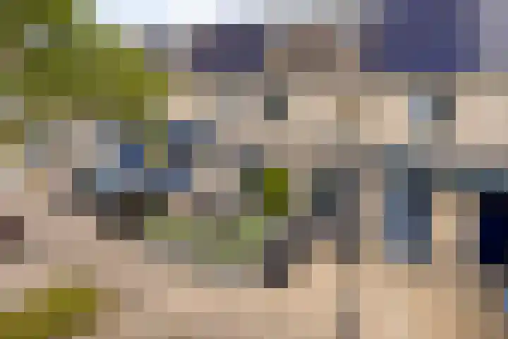 Oostkreek 42 Apeldoorn thumbnail 42