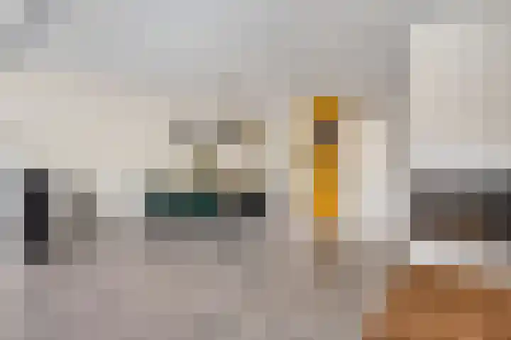 Oostkreek 42 Apeldoorn thumbnail 9