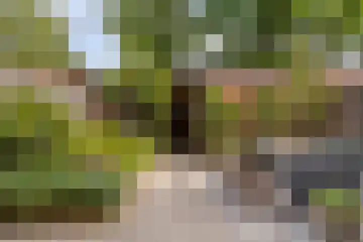 Oostkruisstraat 15 Geersdijk thumbnail 28