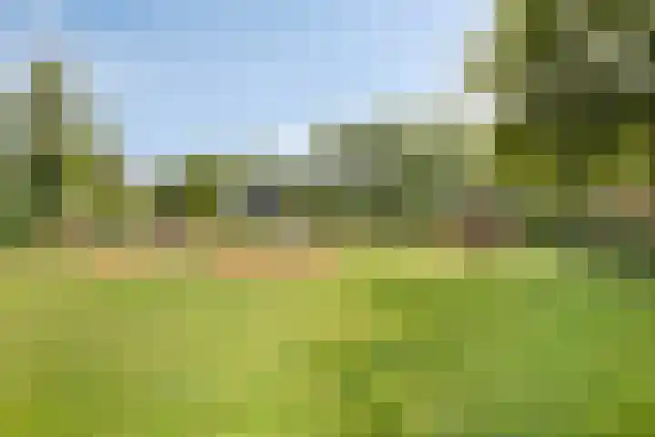 Oostkruisstraat 15 Geersdijk thumbnail 30