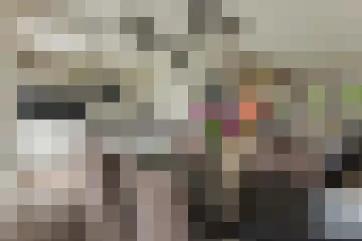 Oostlaan 10 Veendam thumbnail 10