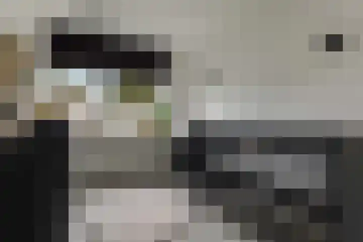 Oostlaan 10 Veendam thumbnail 17