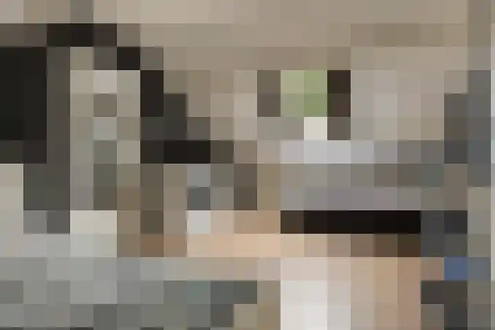 Oostlaan 10 Veendam thumbnail 20