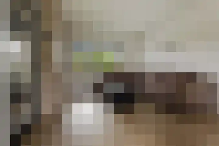 Oostlaan 10 Veendam thumbnail 7