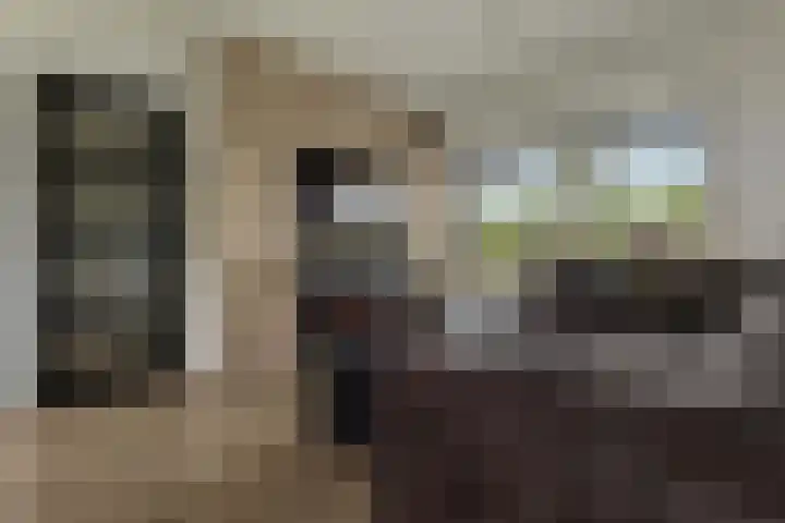 Oostlaan 10 Veendam thumbnail 8