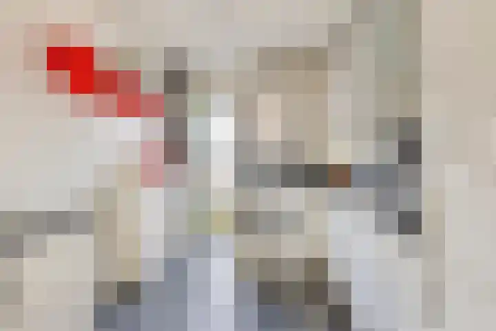 Oostlaan 107 Hoogerheide thumbnail 14