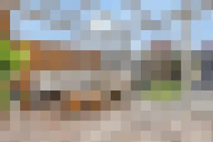 Oostlaan 107 Hoogerheide thumbnail 17