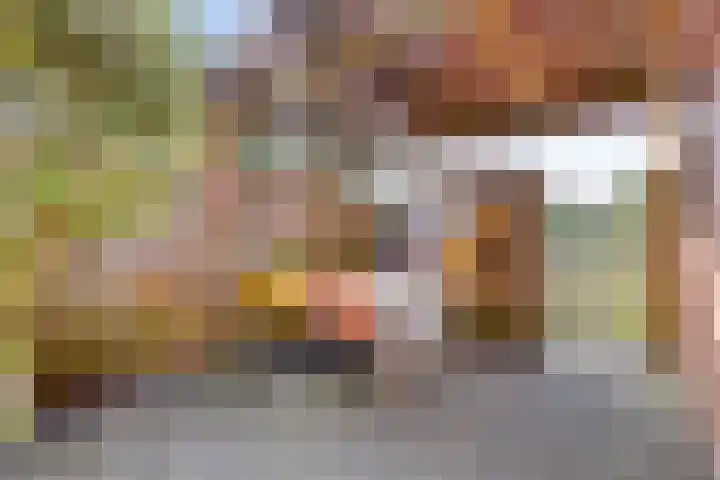 Oostlaan 107 Hoogerheide thumbnail 34