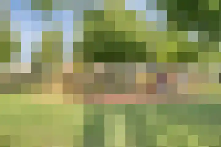 Oostlaan 107 Hoogerheide thumbnail 37