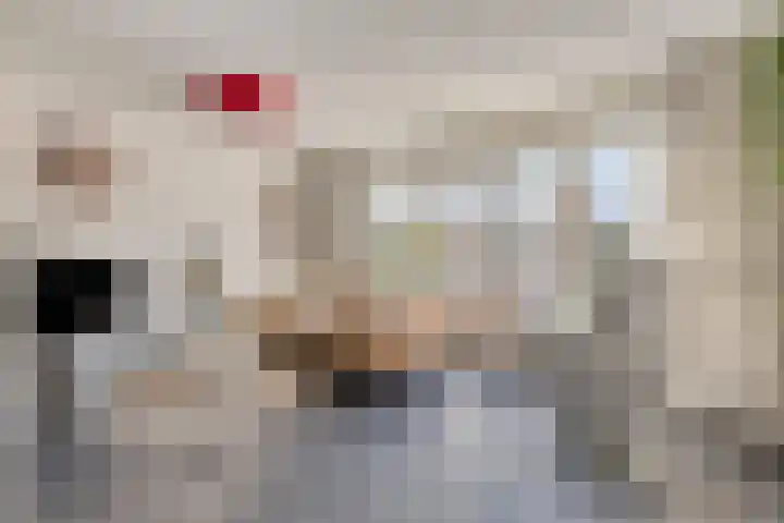 Oostlaan 107 Hoogerheide thumbnail 9