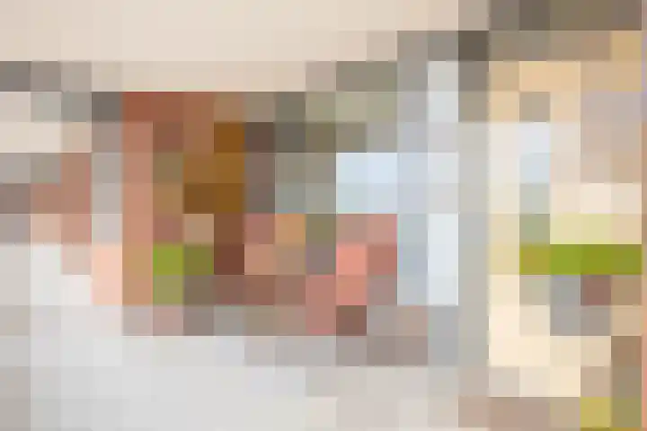 Oostlaan 118 Pijnacker thumbnail 13