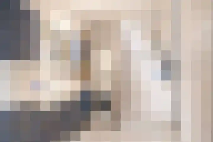 Oostlaan 118 Pijnacker thumbnail 17