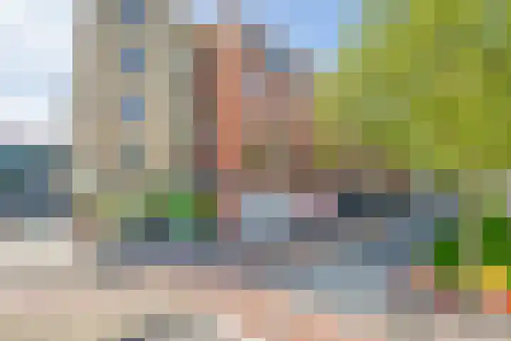 Oostlaan 118 Pijnacker thumbnail 30