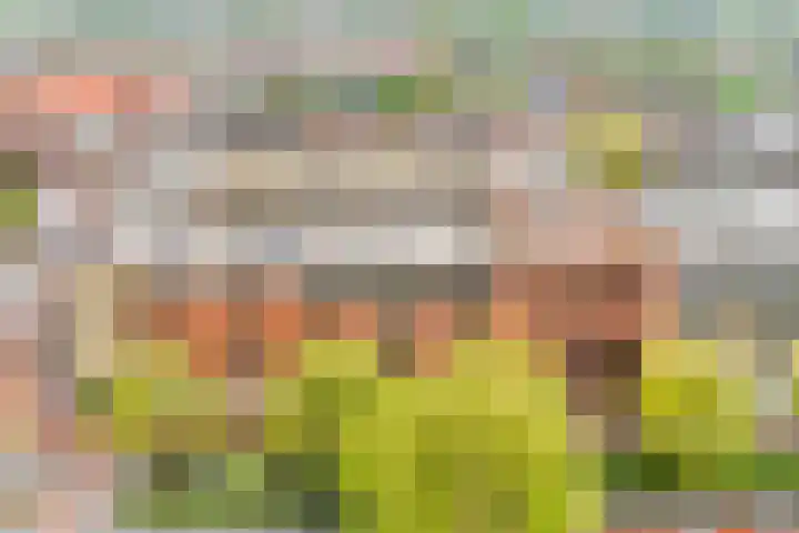 Oostlaan 118 Pijnacker thumbnail 33