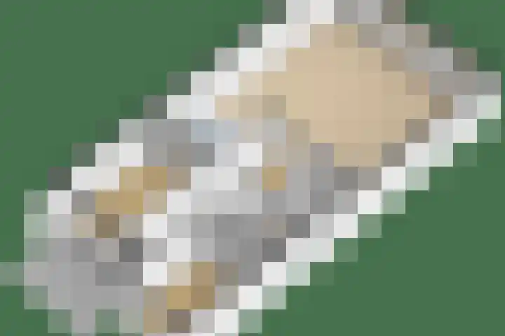 Oostlaan 118 Pijnacker thumbnail 36