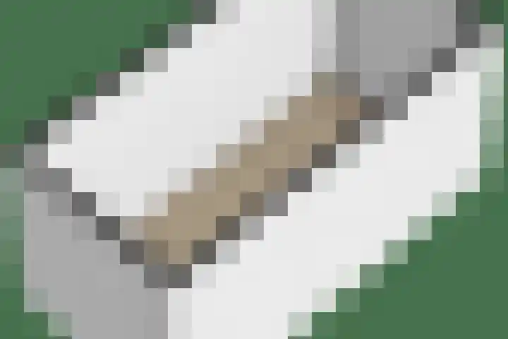 Oostlaan 118 Pijnacker thumbnail 38