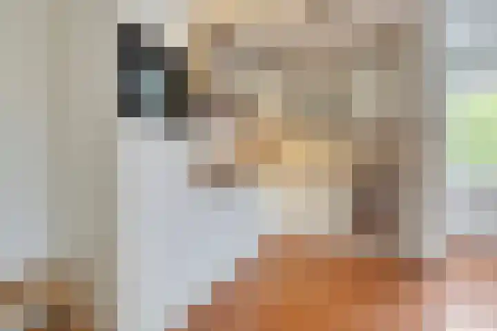 Oostlaan 132 Pijnacker thumbnail 10