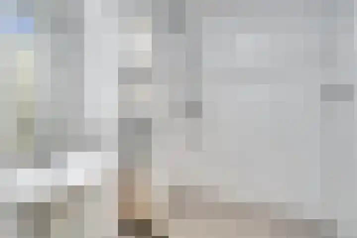 Oostlaan 132 Pijnacker thumbnail 15