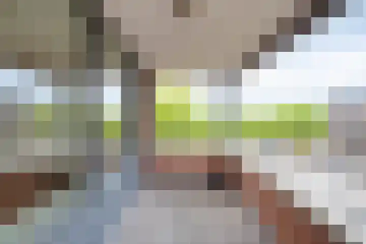 Oostlaan 132 Pijnacker thumbnail 5