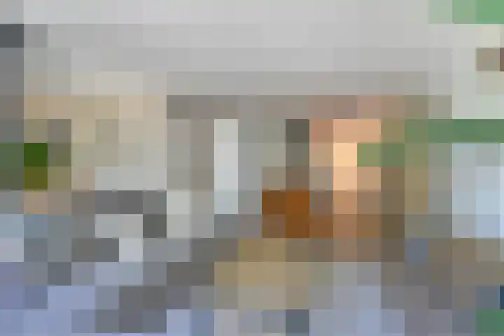 Oostlaan 150 Pijnacker thumbnail 11