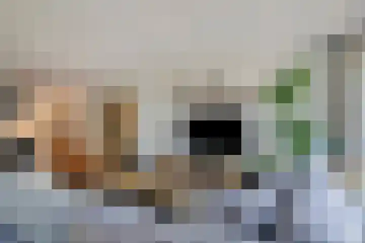 Oostlaan 150 Pijnacker thumbnail 12