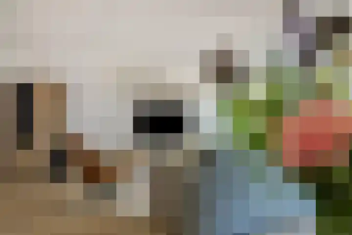 Oostlaan 150 Pijnacker thumbnail 13