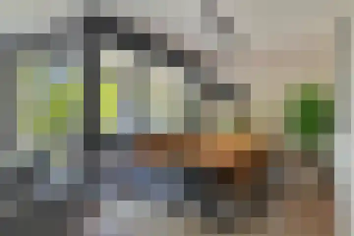 Oostlaan 150 Pijnacker thumbnail 14