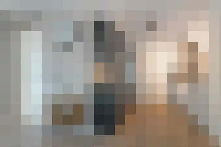 Oostlaan 150 Pijnacker thumbnail 15