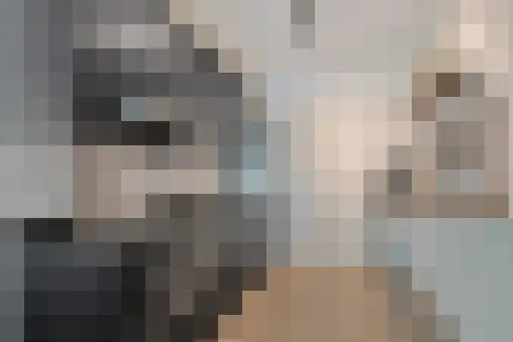 Oostlaan 150 Pijnacker thumbnail 16
