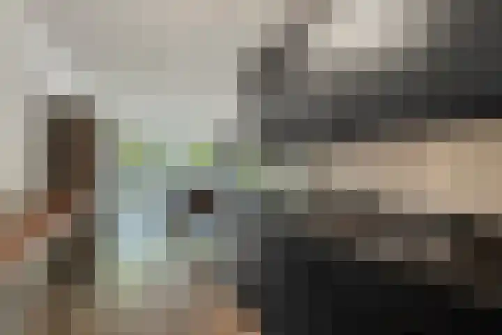 Oostlaan 150 Pijnacker thumbnail 17