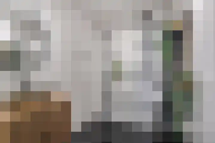 Oostlaan 150 Pijnacker thumbnail 22