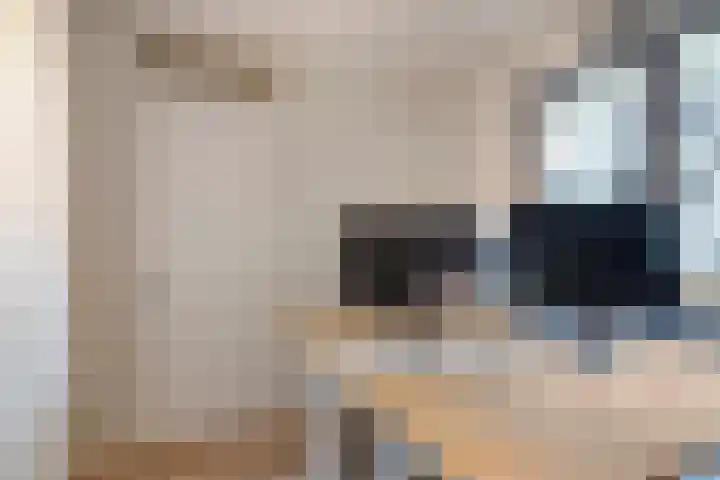 Oostlaan 150 Pijnacker thumbnail 24