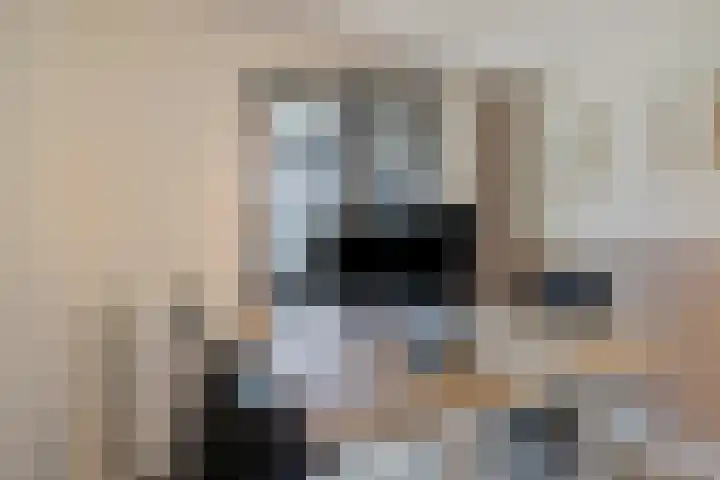 Oostlaan 150 Pijnacker thumbnail 25