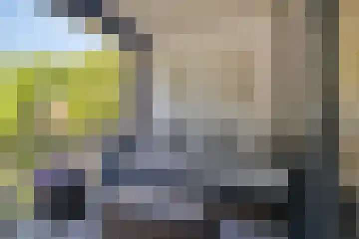 Oostlaan 150 Pijnacker thumbnail 26