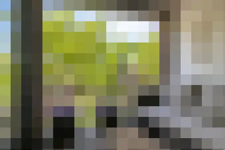 Oostlaan 150 Pijnacker thumbnail 27
