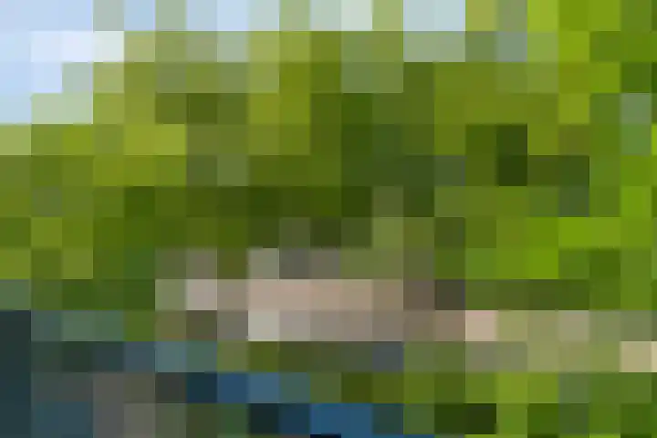 Oostlaan 150 Pijnacker thumbnail 28