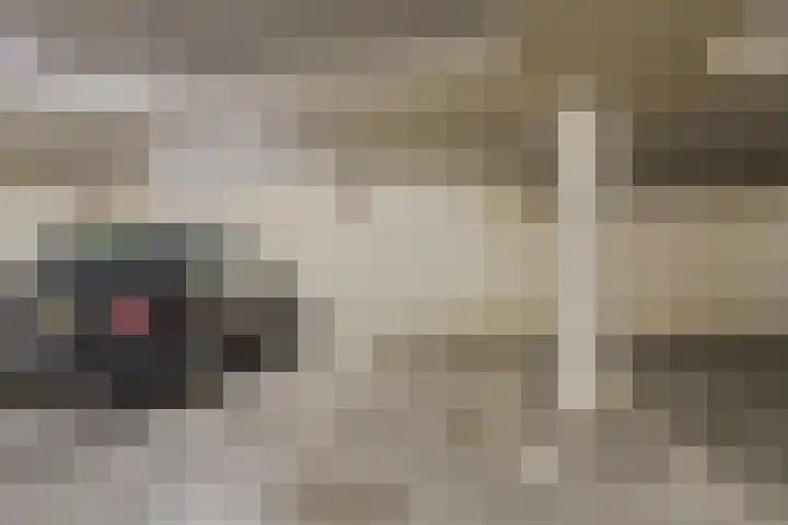 Oostlaan 150 Pijnacker thumbnail 29
