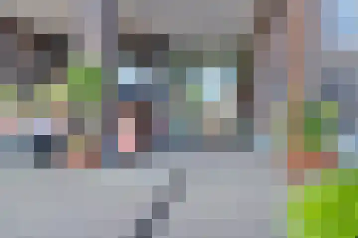 Oostlaan 150 Pijnacker thumbnail 32